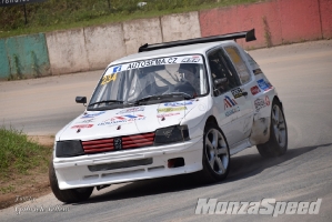 Campionato Italiano Rallycross (36)