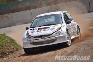 Campionato Italiano Rallycross (49)