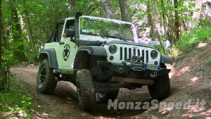 Jeepers Meeting 2019 (50)