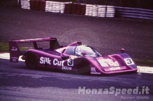 1000 Km Monza 1991 (15)