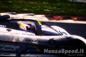 1000 Km Monza 1991 (20)