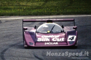 1000 Km Monza 1991 (21)