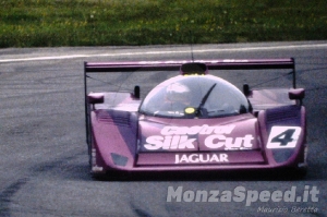 1000 Km Monza 1991 (25)