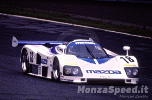 1000 Km Monza 1991 (8)