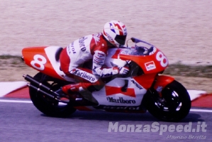 Motomondiale Misano 1993 