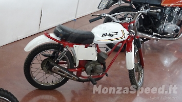 Festival dei Motori Montichiari 2023 (241)