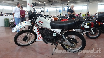 Festival dei Motori Montichiari 2023 (260)