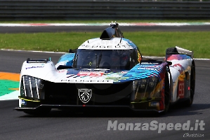 WEC 6 ore di Monza 2023 (422)