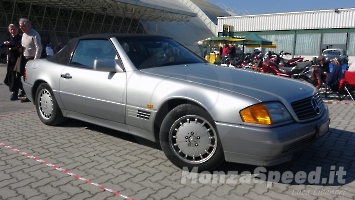 Auto Collection 2024 (143)