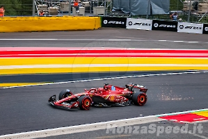 F1 Belgio Venedi 2024 (81)